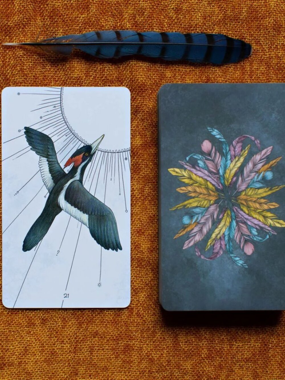 Birds Oracle Deck 1 & 2 - Golden Blue - Out of Print, Rare, Hard to Find - Picture 7 of 7